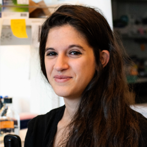 Adrianne Corseri '25